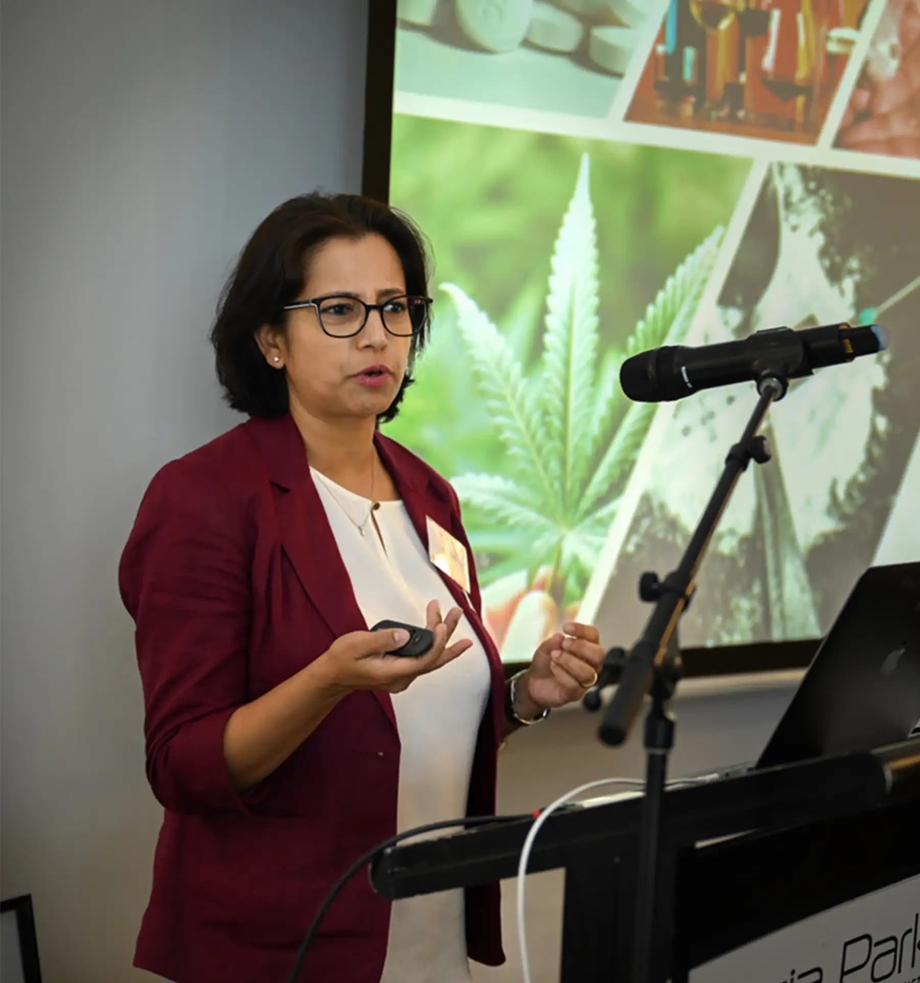 Provide academic and career guidance